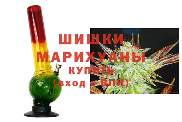 стаф Балахна