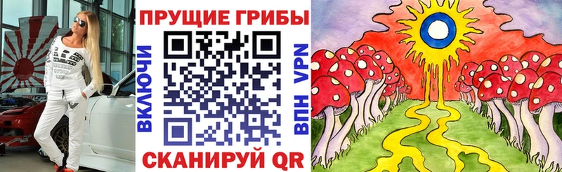 Галлюциногенные грибы Psilocybine cubensis  Среднеуральск 